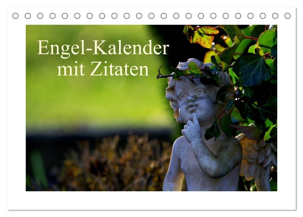 Engel-Kalender mit Zitaten / CH-Version (Tischkalender 2027 DIN A5 quer), CALVENDO Monatskalender