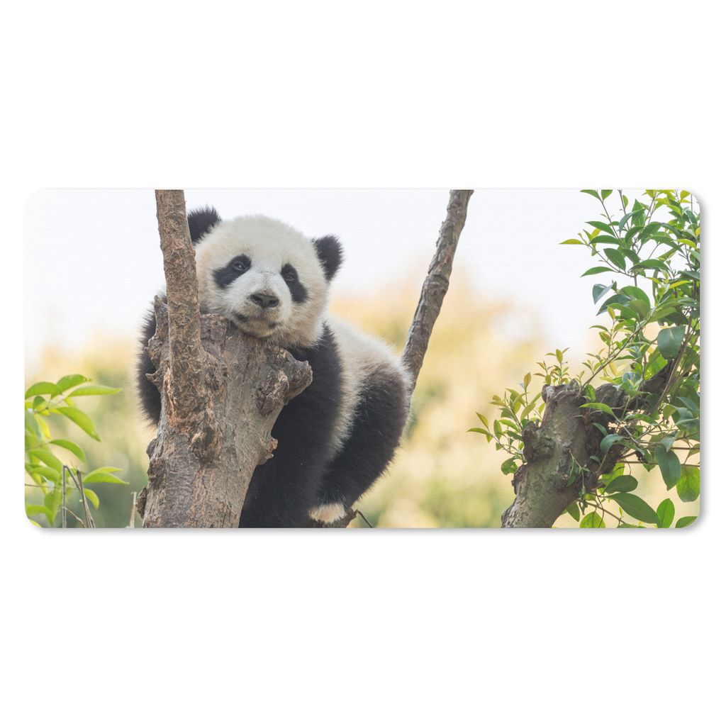 MuchoWow Schreibtischunterlage Panda - Baum - Licht 80x40 cm - XXL Mauspad - Gaming Mauspad