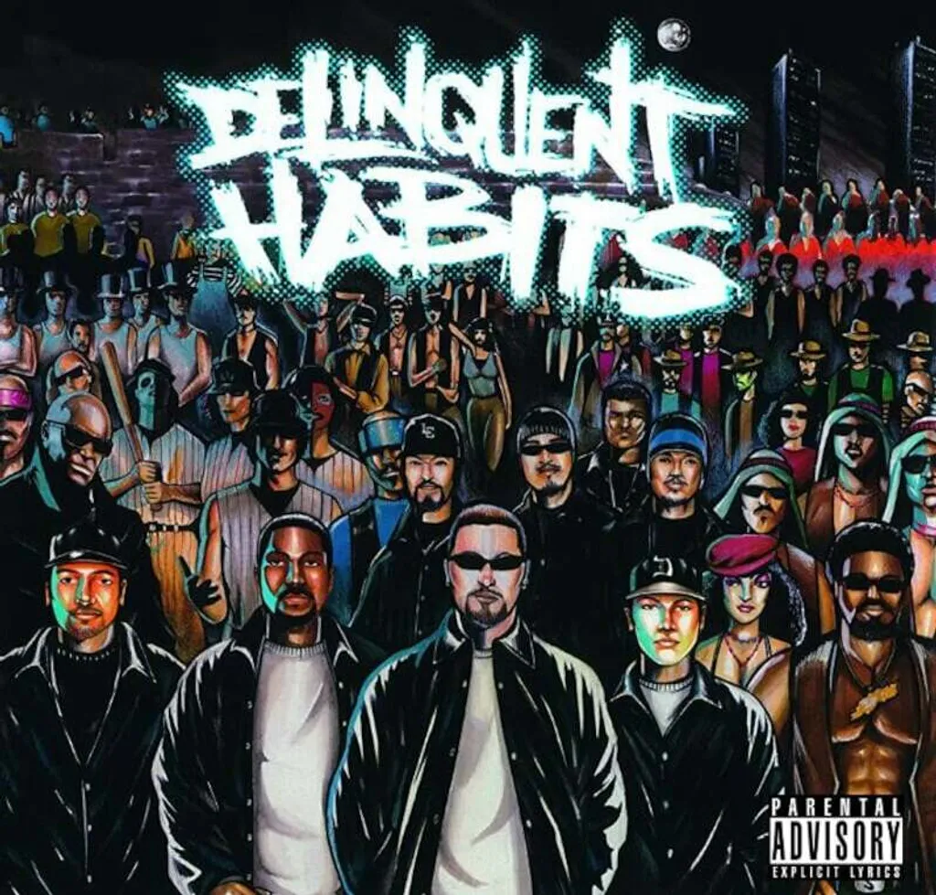 Vinyle Delinquent Habits Edition 2 LP Son Audiophile et Pressage de Qualité