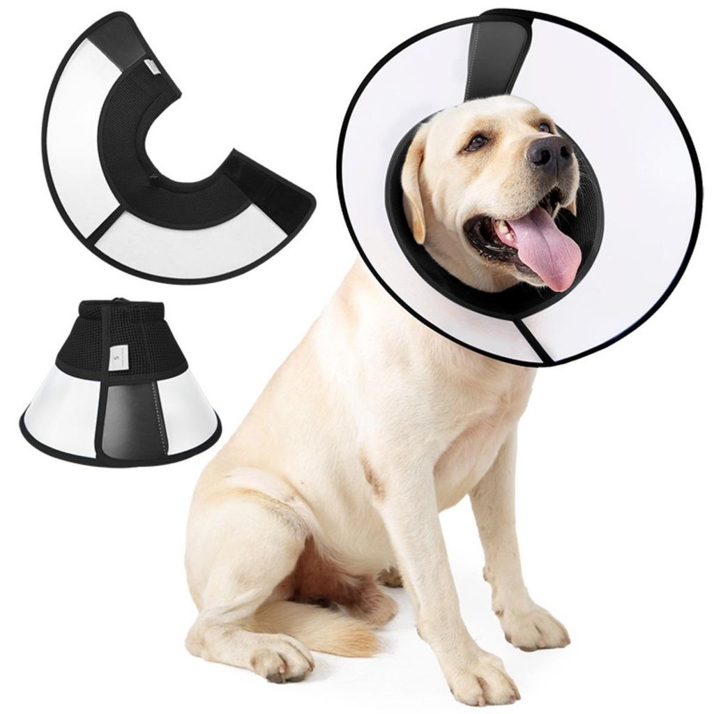 INF Faltbarer PVC Hundekragen mit Mesh verstellbar XL L M für Nachsorge L