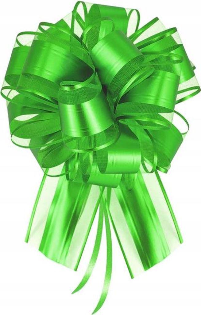 GRÜNE Schleife für Geschenke, Geburtstage, Hochzeiten, Taufen, 20cm
