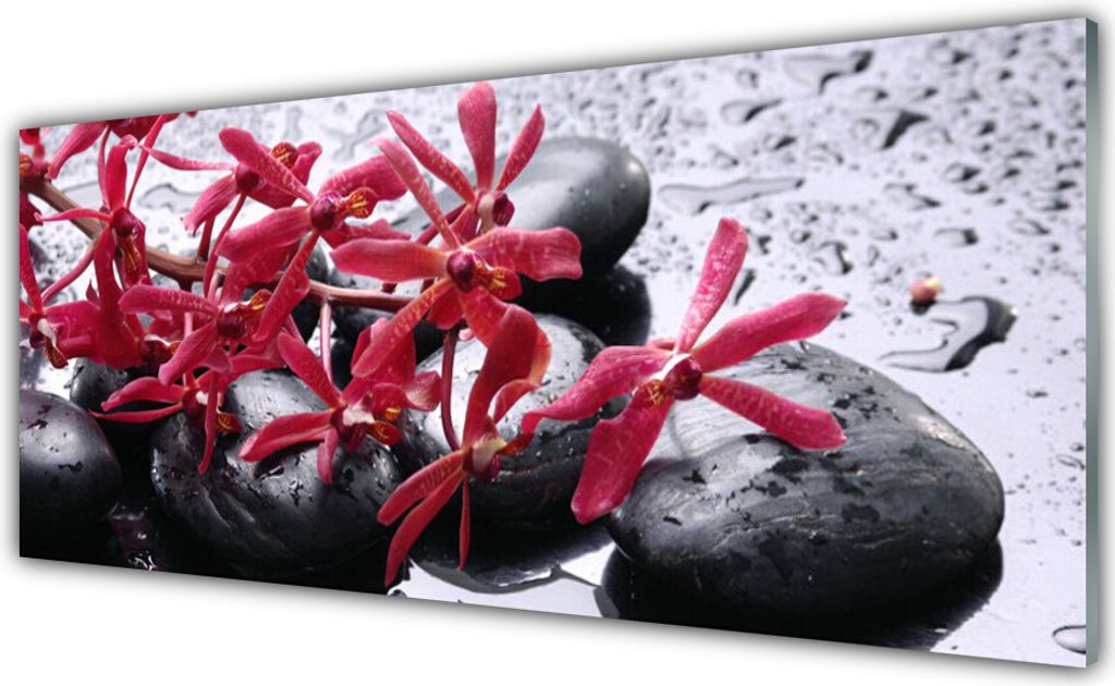 Acrylglasbilder 125x50 Wandbild Druck Blumen Steine Kunst