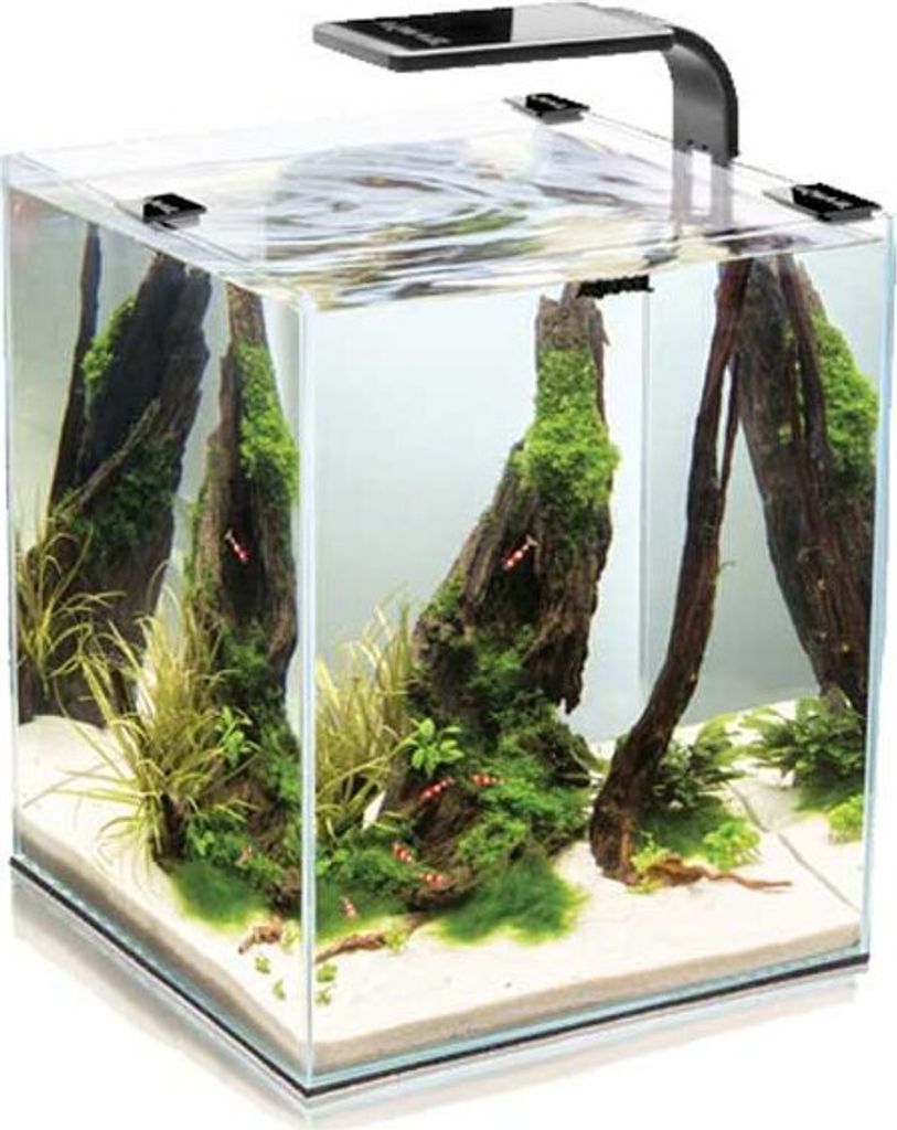 Aquael SMART D&N 30 Nano-Aquarium Set In Schwarz – Komplettset Für Fische & Garnelen