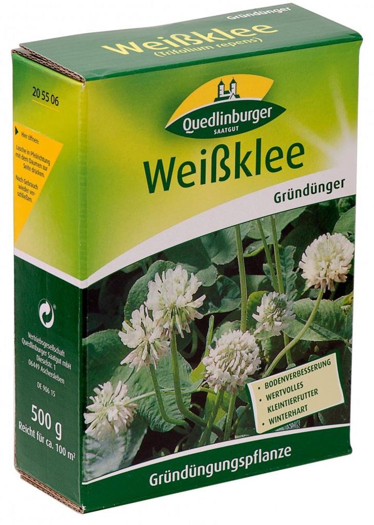 Weißklee 500 g | Gründünger von Quedlinburger Produktbild 