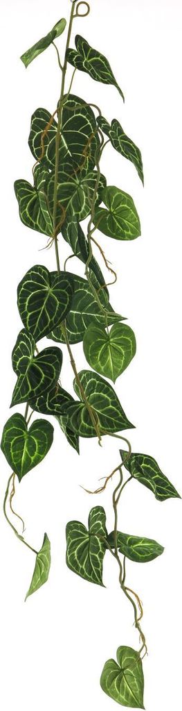 Scindapsus alba Girlande grün 109cm Nova Nature