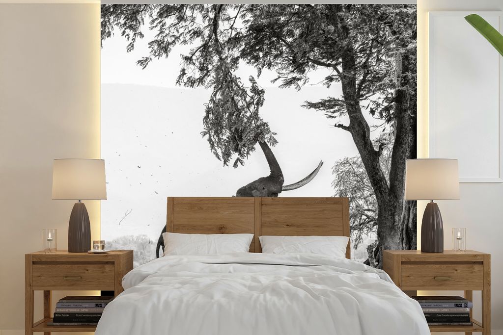 MuchoWow Fototapete für Wohnzimmer oder Schlafzimmer Wandtapete Vinyl Motivtapete Elefant, der an einem Ast zieht, in Schwarz-Weiß - 280x280 cm...