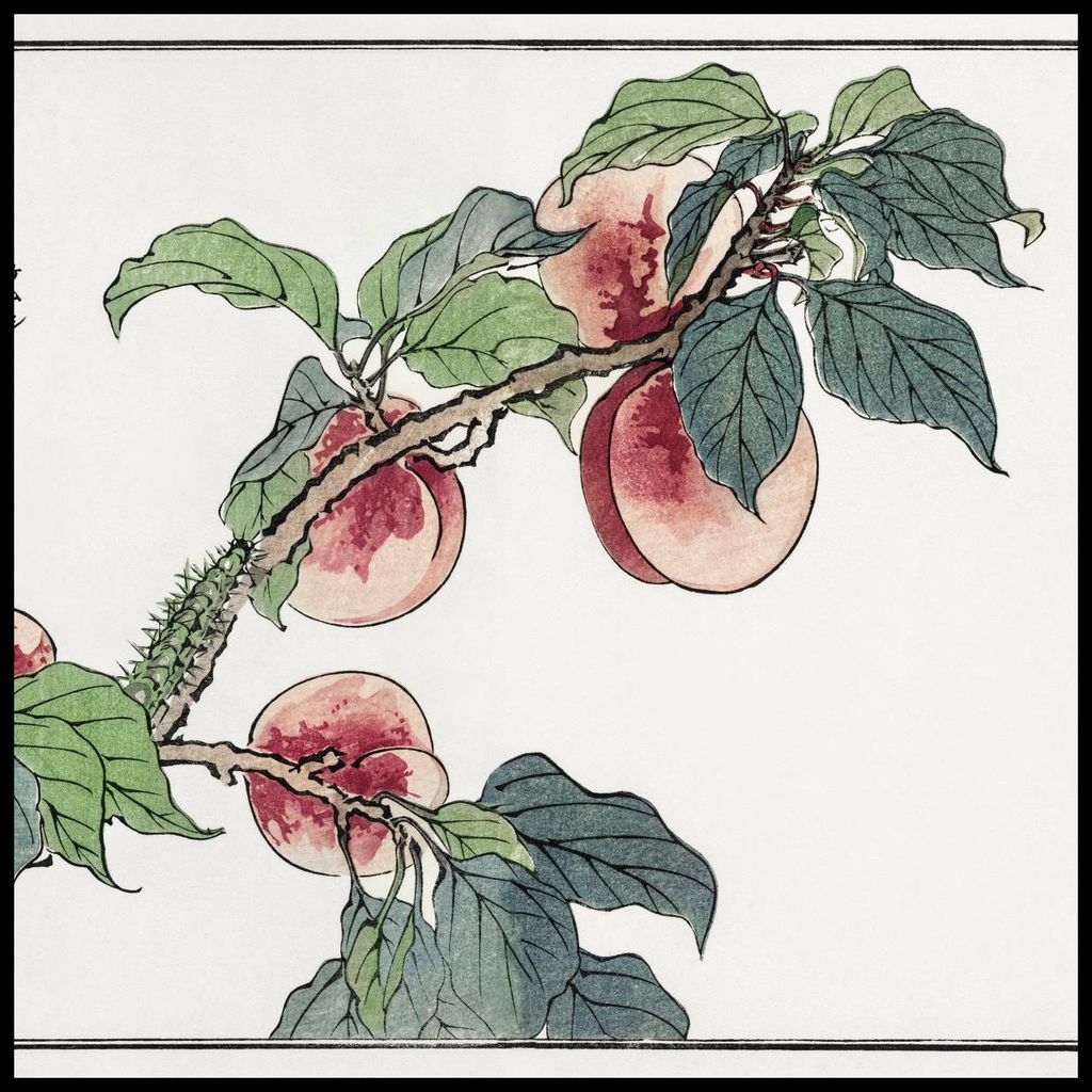 Plakat 100x100cm Raupe auf Morimoto Baum Japanisch Vintage für Wohnzimmer