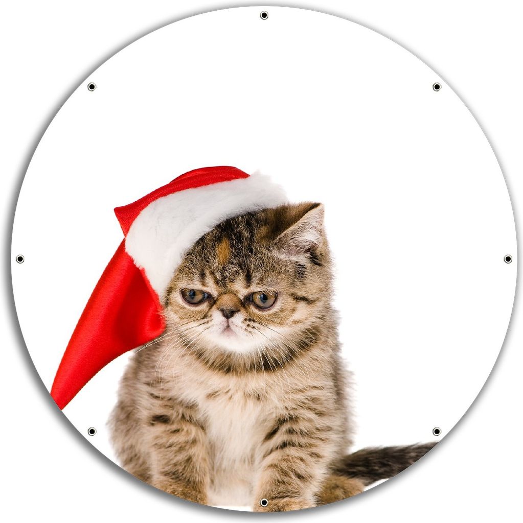 Wallario rundes Outdoor-Poster für Garten oder Balkon, Motiv Ich hasse Weihnachten - mürrische Katze mit Weihnachtsmütze, 60 cm Durchmesser