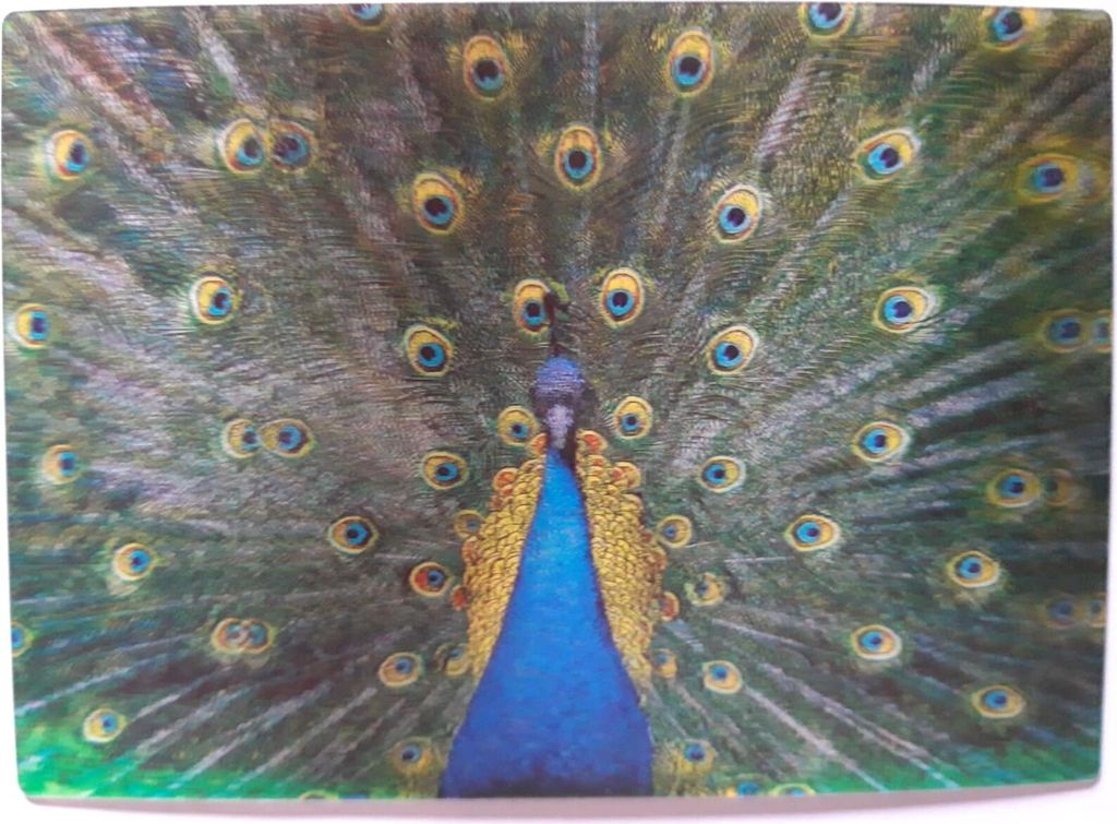 3 D Ansichtskarte Pfau, Postkarte Wackelkarte Produktbild 