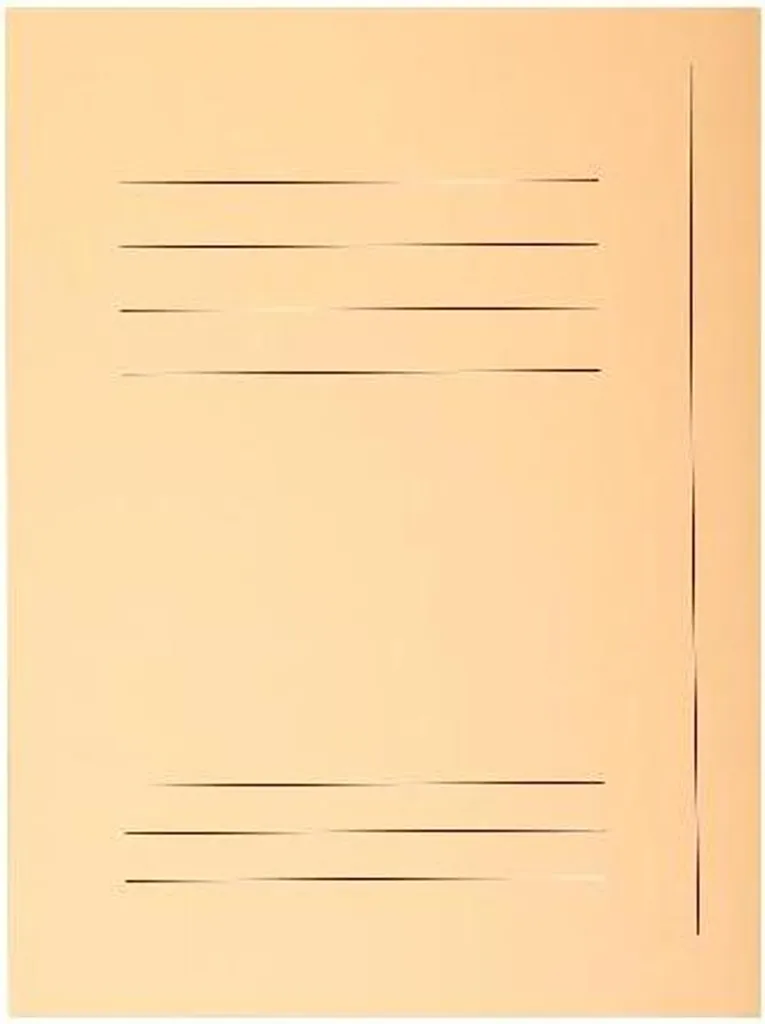 Pochettes de classement A4 Exacompta pour archivage bureau 50 pcs