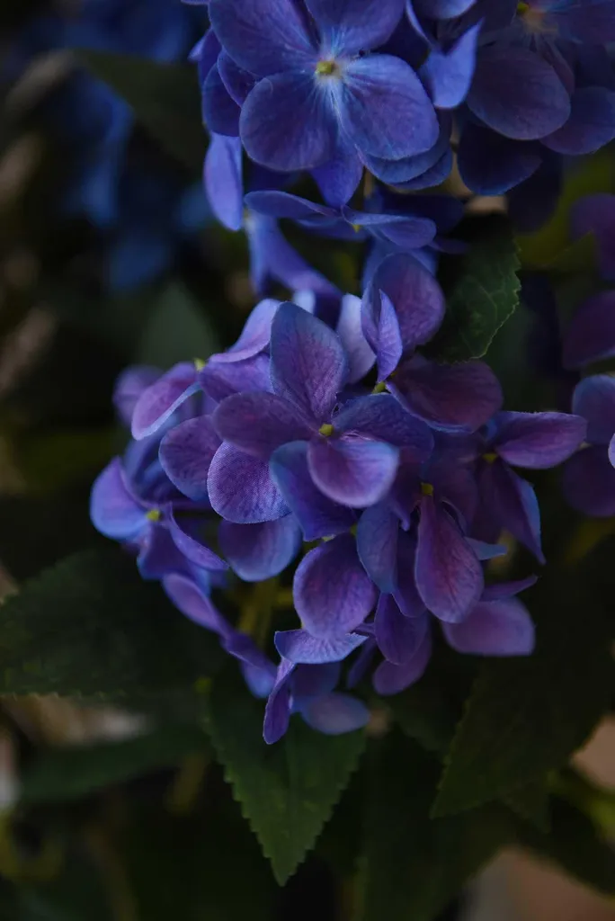 VIVANNO Ortensia Blu Artificiale con Vaso 60x60 cm - Decorazione Realistica - 5