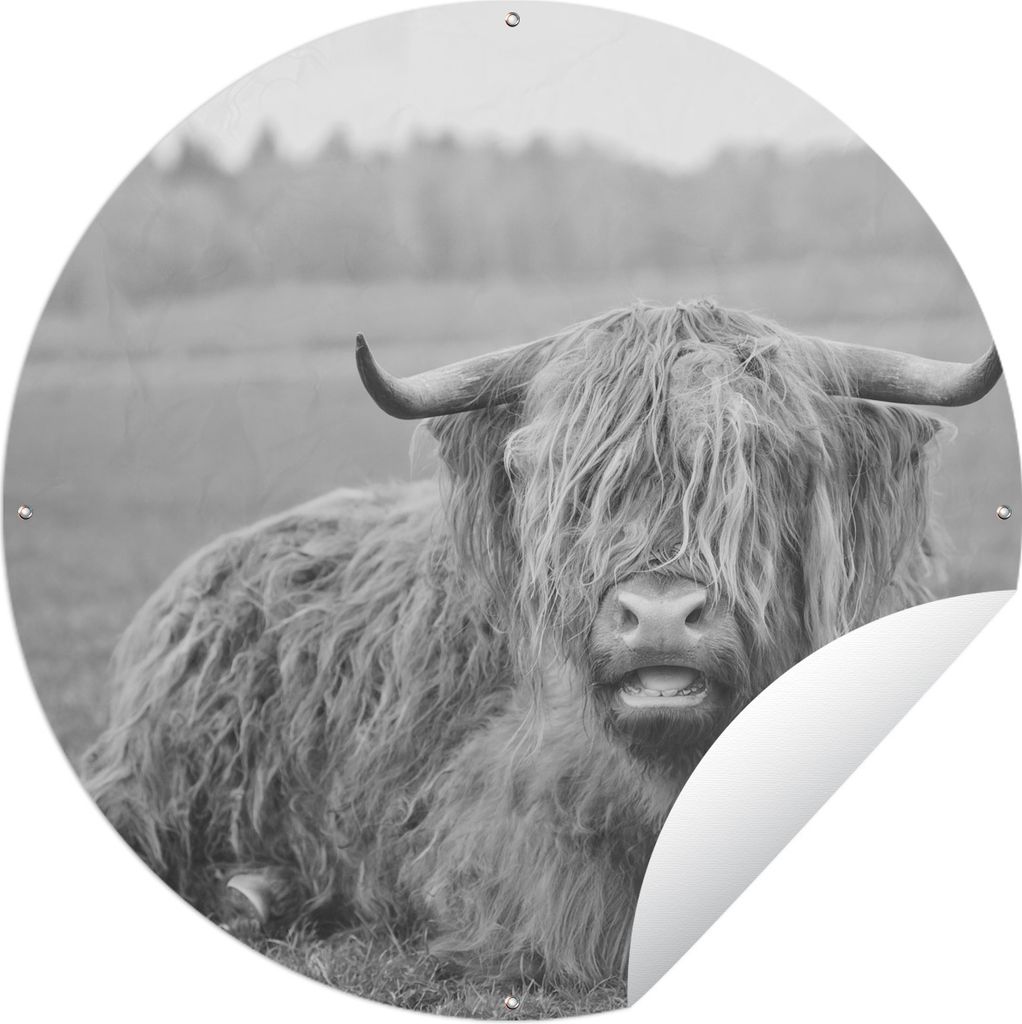 MuchoWow Gartenposter Outdoor-Poster Rund Close-up liegend highlander - schwarz und weiß Ø 120 cm Gartendeko Rundes Poster draußen