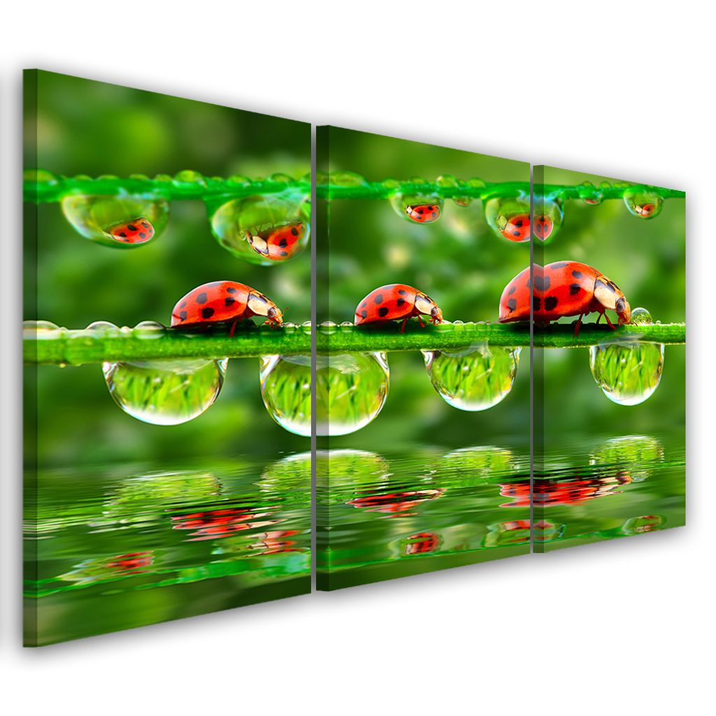 Triptychon auf leinwand grün natur 120x80 cm Feeby grün wandbild bereit zum aufhängen