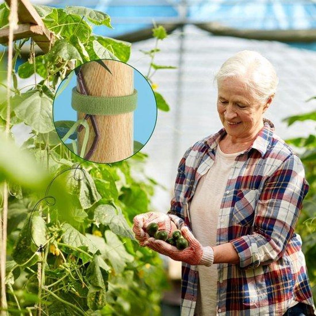 Binddraad voor planten, 15 meter - met klittenbandsluiting Productafbeelding 