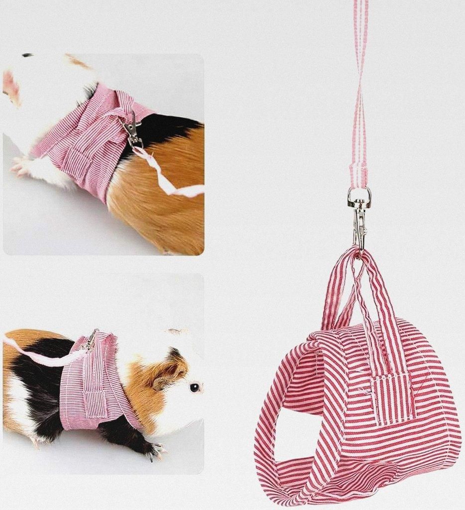 Kleintier Geschirr und Leine Set, Verstellbare Außenweste für Meerschweinchen, Eichhörnchen, Igel, Chinchillas, Rot, Größe L
