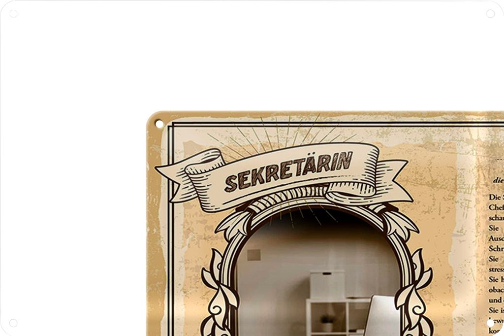 Blechschild Berufe 40x30cm Sekretärin Beobachtungsgabe Chef