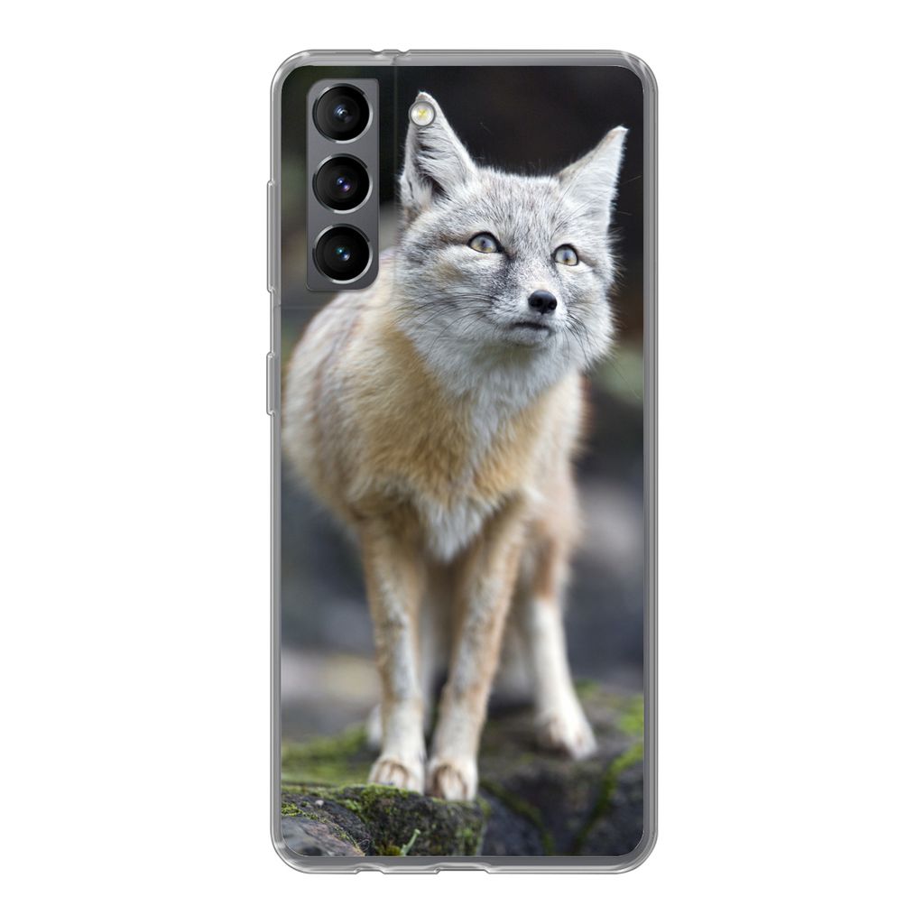 MuchoWow Handyhülle Schutzhülle Hülle für Samsung Galaxy S21 Fuchs - Makro - Baum Silikon Softcase Handy Hülle - Softcase