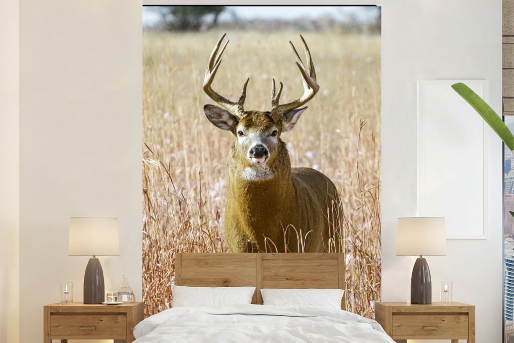 MuchoWow Fototapete für Wohnzimmer oder Schlafzimmer Wandtapete Vinyl Motivtapete Hirsche - Gras - Herbst - Tiere - Natur - Geweih - 145x220 cm ...