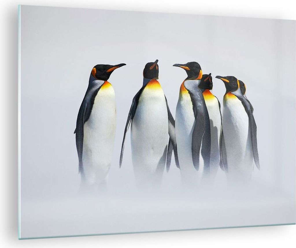 Bilder auf glas - Pinguine Winter Schnee Spaziergang - Produktbild 