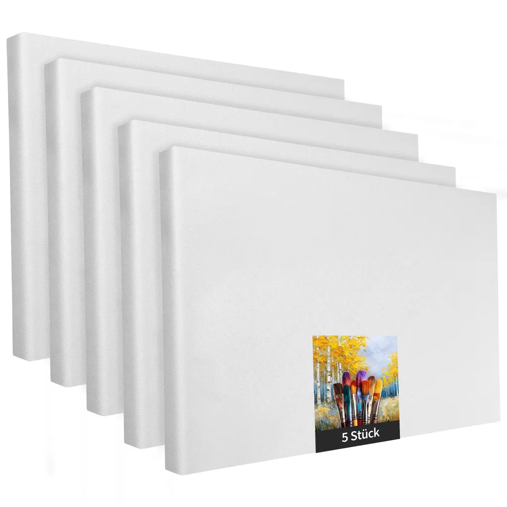 Supporto Professionale: 5 Tele 70x100 cm su Telaio a Cuneo Poliestere