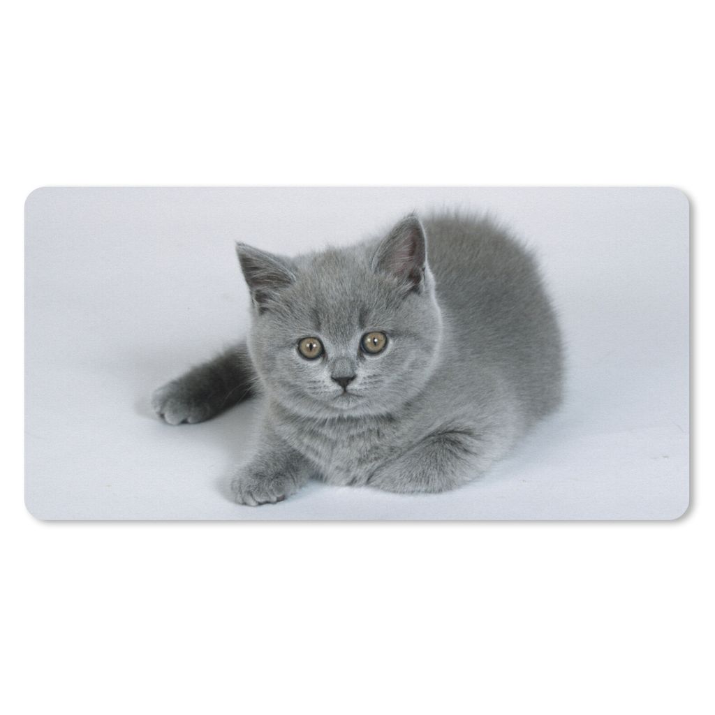 MuchoWow Mauspad Mousepad Anzeige eines wunderschönen Britisch-Kurzhaar-Kätzchens 60x30 cm - Mousepads - Maus Mat - Pad - Mausunterlage - Nachh...