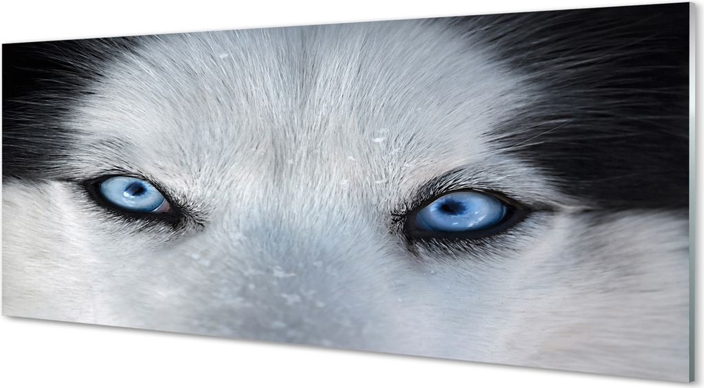 Glasbilder 125x50 Wandkunst Wolf Augen Produktbild 
