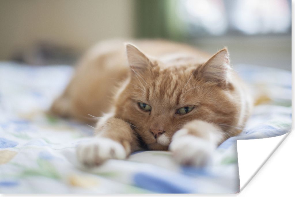 MuchoWow Poster Katze - Bett - Tagesdecke - Mädchen - Kinder - Kinder - Kind 30x20 cm - Plakate - Print