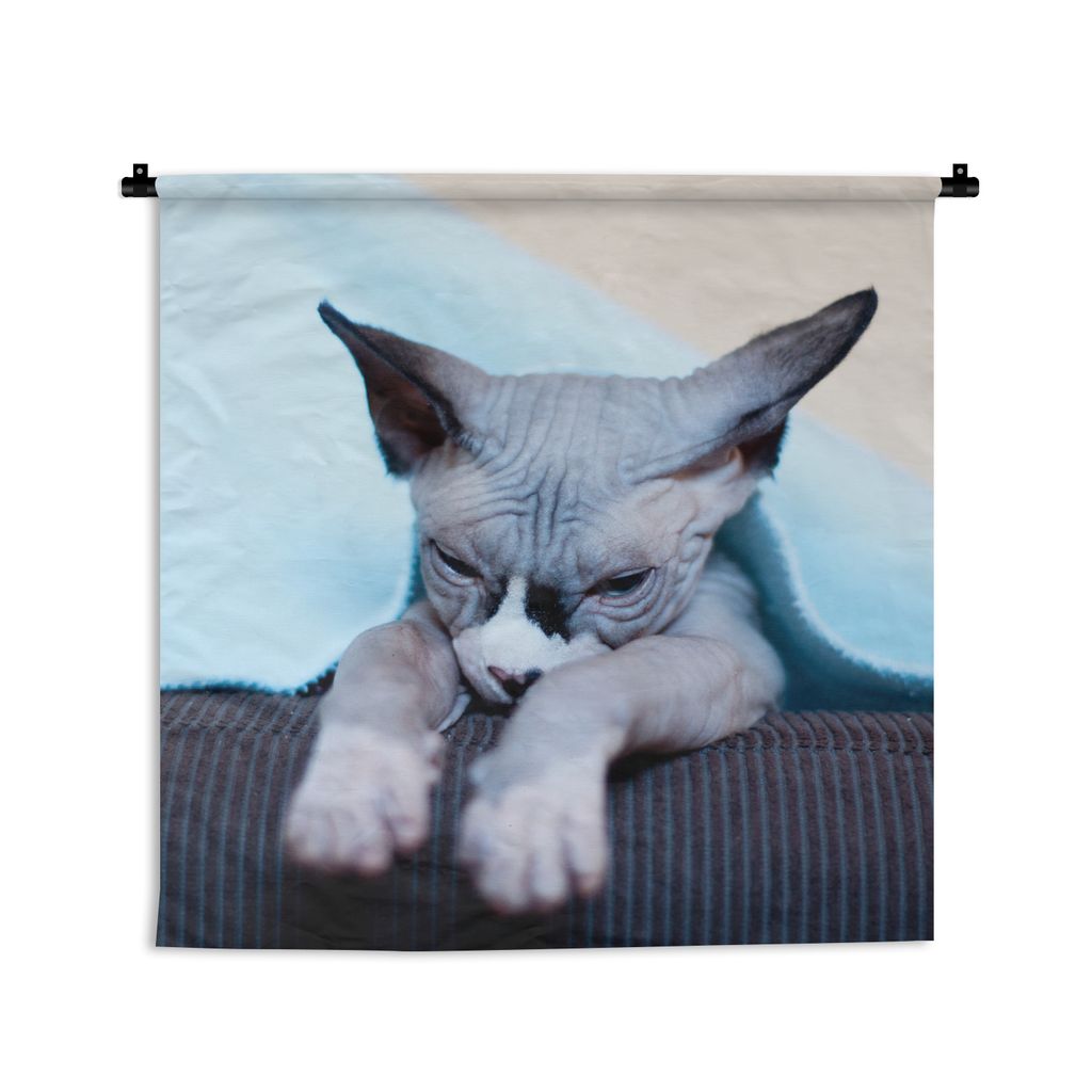 MuchoWow Wandteppich Wandbehang Eine schläfrige Sphynx-Katze auf dem Sofa 150x150 cm Tapisserie Dekoration Wandtuch - Wohnaccessoires - Modernes