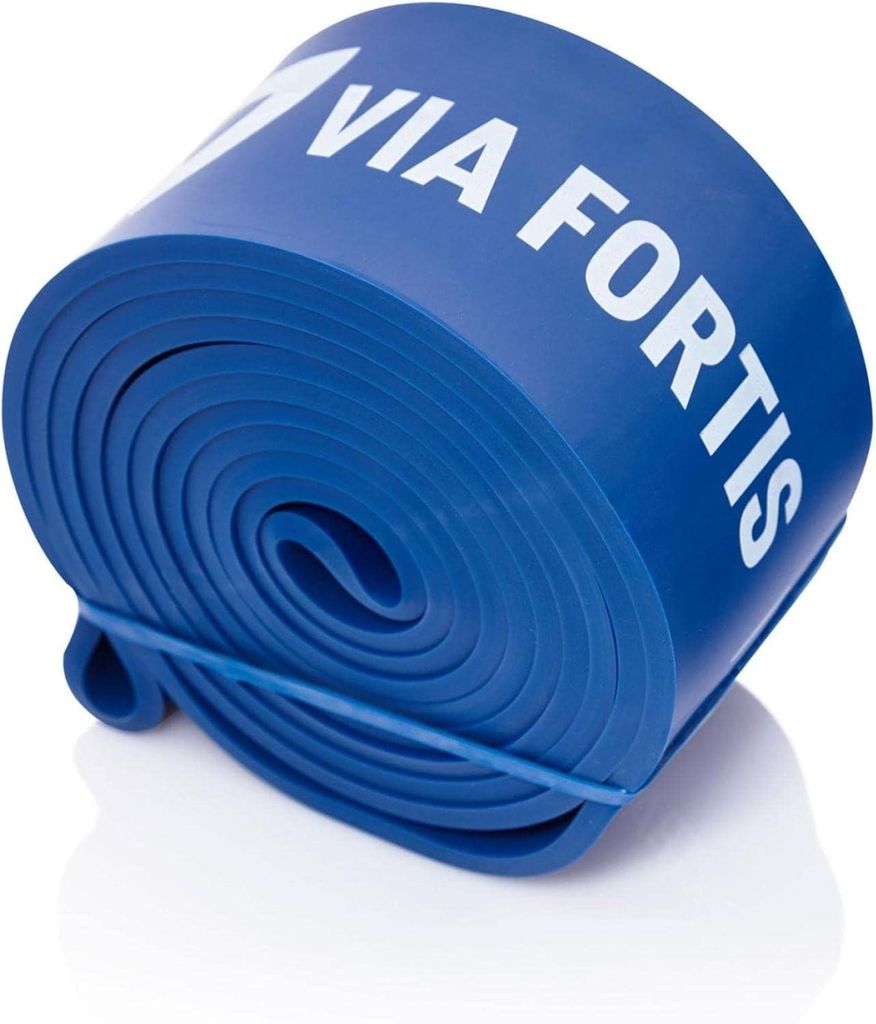 VIA FORTIS Premium Resistance Band + Übungsanleitung und Produktbild 