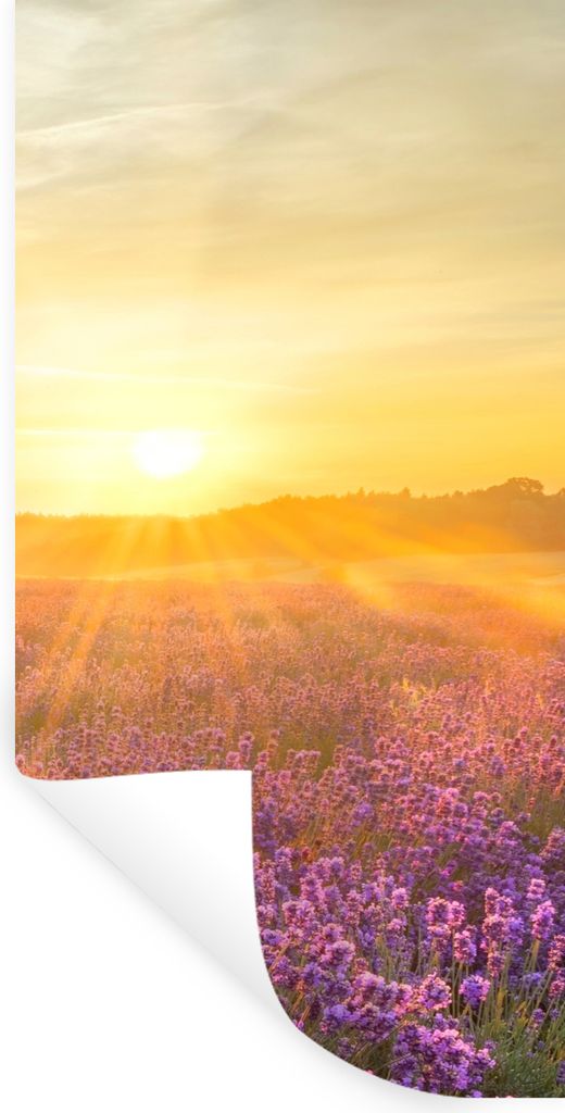 MuchoWow Wandtattoo Wandsticker Wandaufkleber Lavendel - Sonnenuntergang - Bäume - Lila 20x40 cm Selbstklebend und Repositionierbar - Selbstkleb...