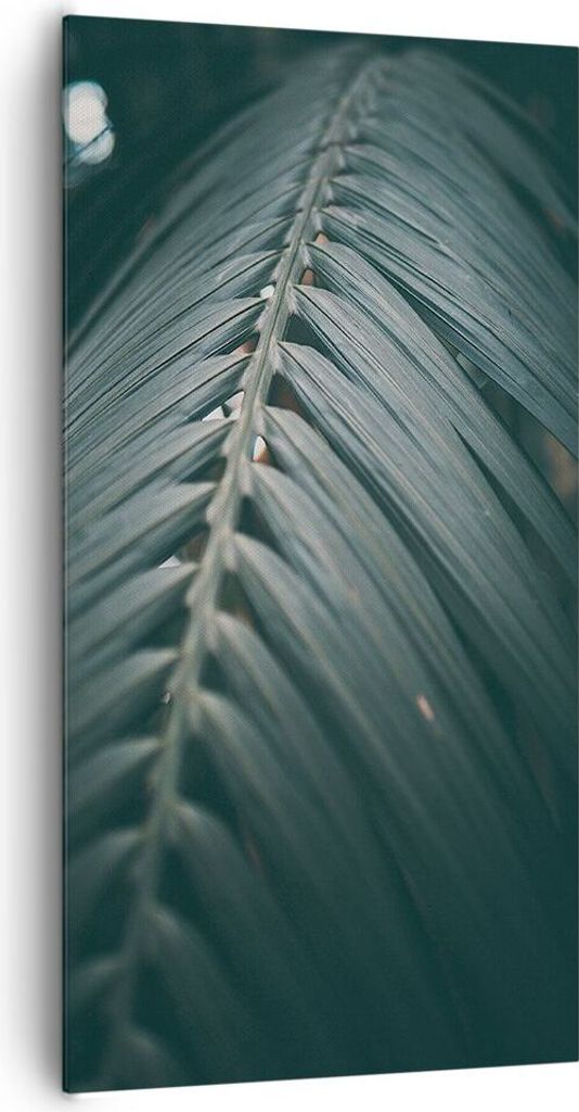 Bild auf Leinwand - Leinwandbild - Einteilig - Blatt Palme exotisch - 65x120cm - Wand Bild - Wanddeko - Wandbilder - Leinwanddruck - Bilder - Wandd...