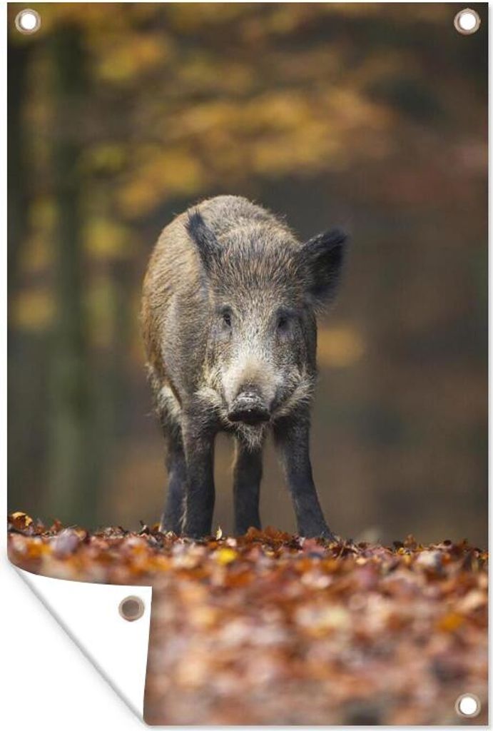 MuchoWow 80x120 cm Outdoor-Poster Gartendeko Sichtschutz Garten Poster für den Garten Wildtier - Wald - Herbst