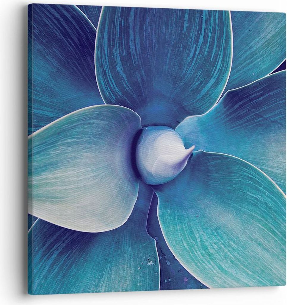 Bild auf Leinwand - Leinwandbild - Einteilig - Agave Blau Blume - 40x40cm - Wand Bild - Wanddeko - Wandbilder - Leinwanddruck - Bilder - Wanddekora...