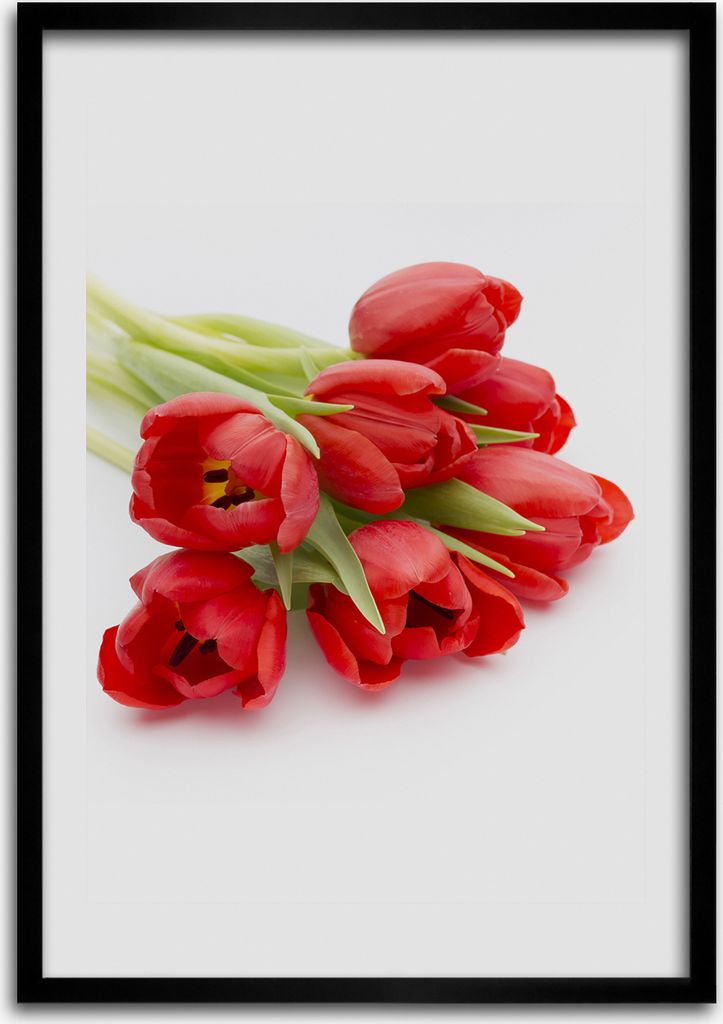 Bild - Bilderrahmen - Foto - 70 cm x 100 cm - MDF - Rahmen - Wandkunst - Rote Tulpen