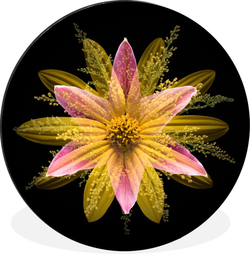 MuchoWow Aluminium Wandkreis Eine gelbe Blume auf schwarzem Hintergrund Ø 90 cm Wanddeko Modern Wohnzimmer - Mauerkreis - Wandbilder - Runde Bil...