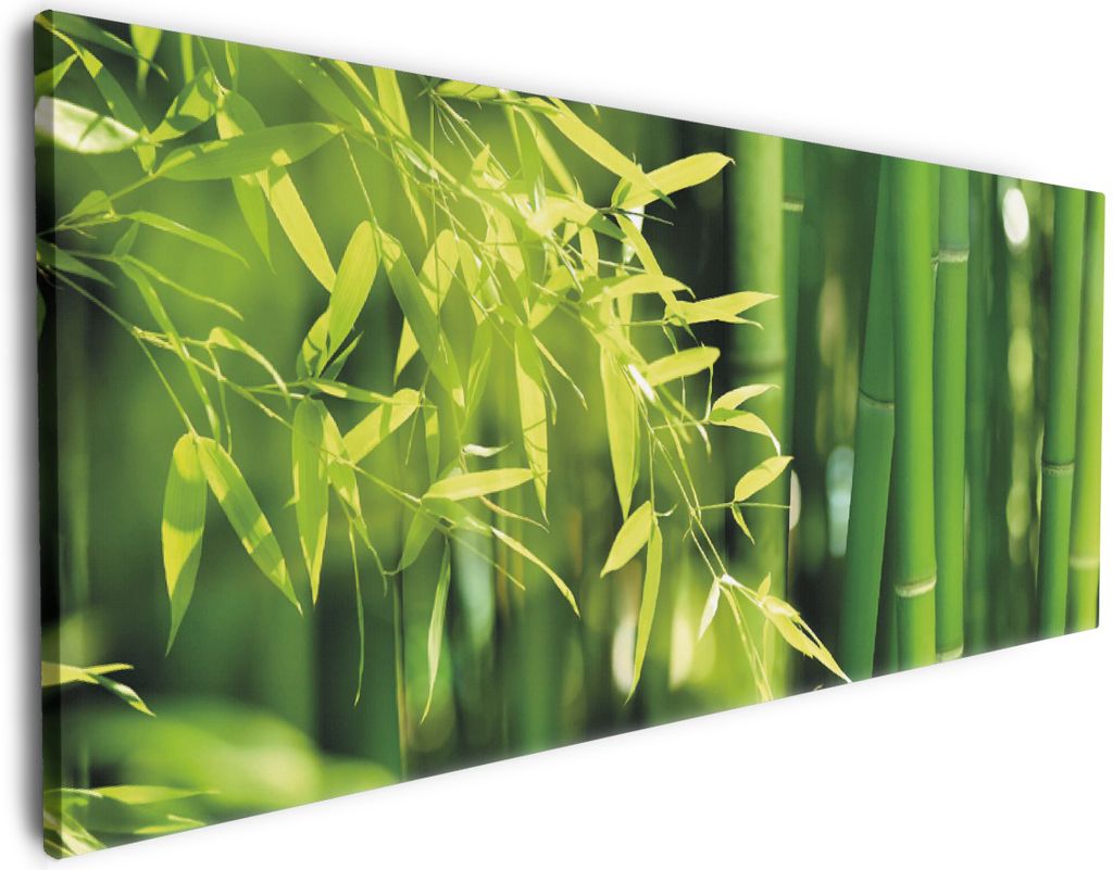 Wallario Premium Leinwandbild Bambuswald mit grünen Bambuspflanzen in Größe 50 x 125 cm