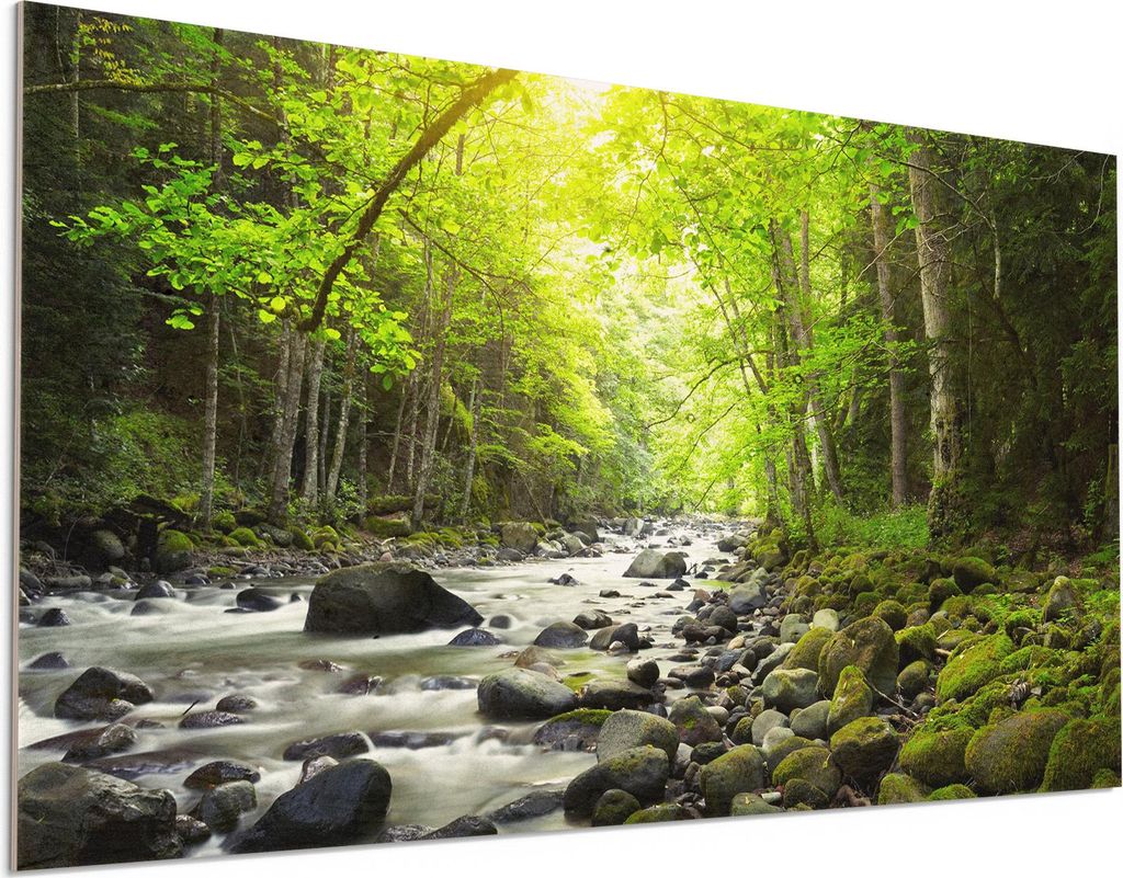 DEQORI Holzbild 100x50 cm 'Steiniges Flussbett' Bild auf Holz Wandbild Kunstdruck