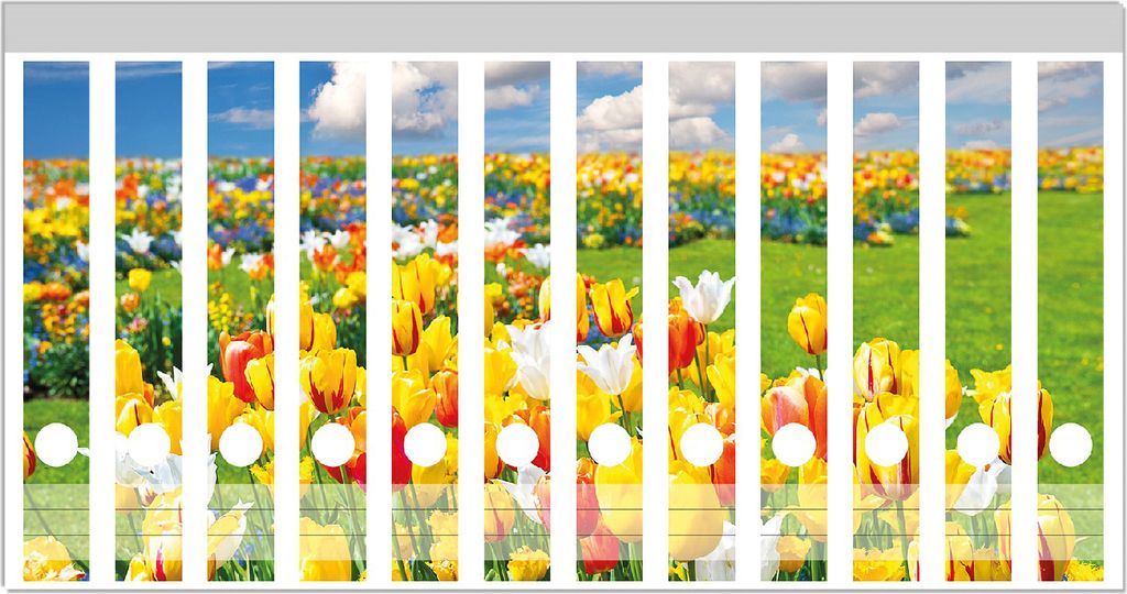 Wallario Ordnerrücken Sticker, selbstklebend für schmale Ordner, 12 Stück, Motiv Tulpenwiese unter blauem Himmel
