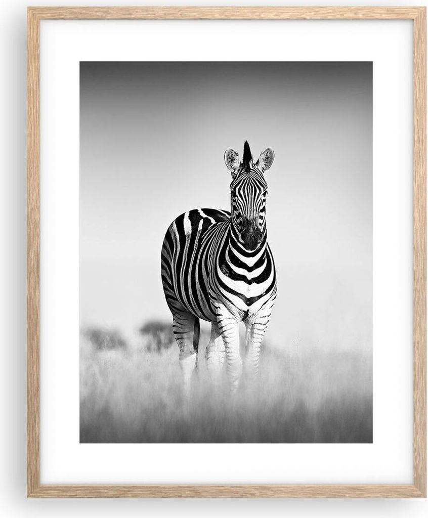 Gerahmtes Poster - Rahmen in heller Eiche - Zebras Fotografie Schwarzweiß - 40x50 cm - Wand Bild - Wanddeko - Wandbilder - Kunstposter - Wandposte...