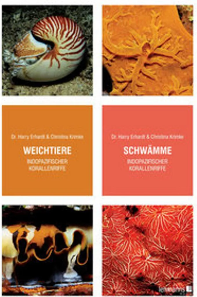 Reconnaître Mollusques et Éponges Indo-Pacifique sans Erreur Guide