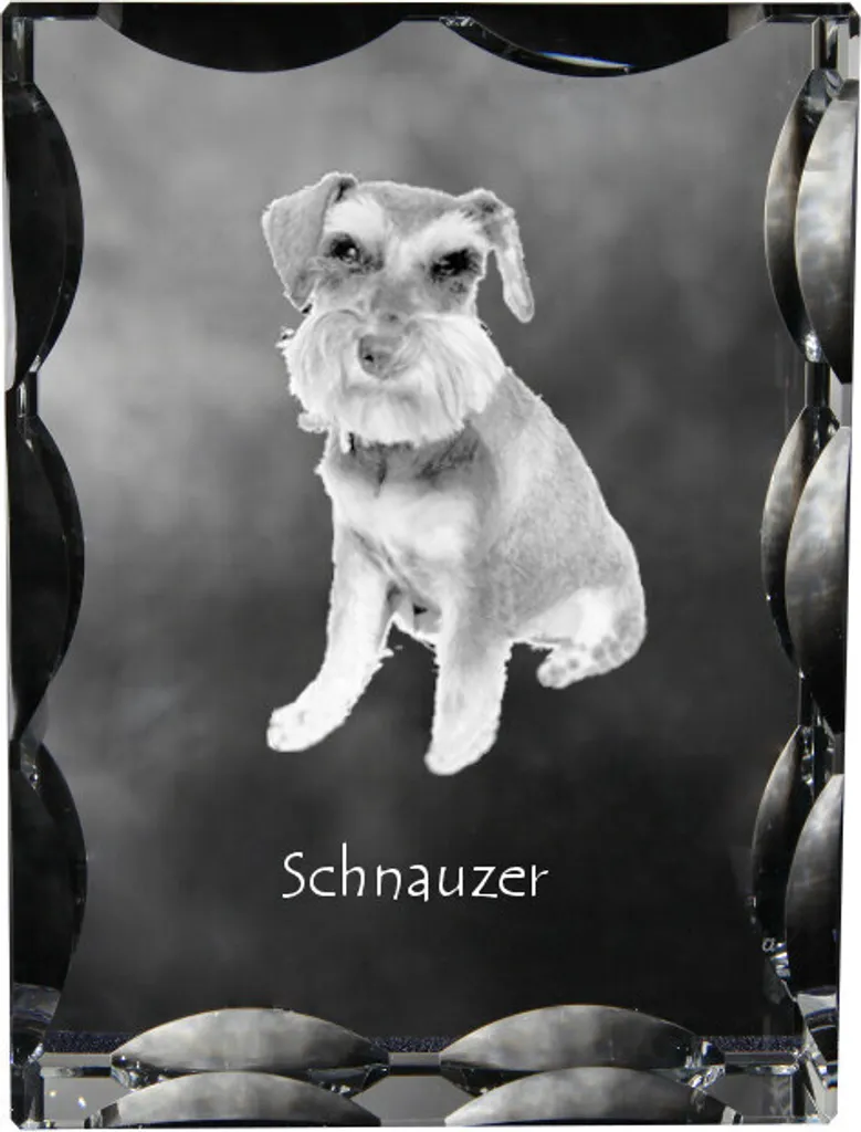 Il Tuo Schnauzer nel Vetro: Cornice Art-Dog e Ricordi Preziosi