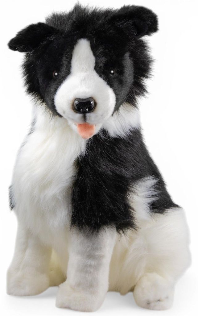 Carl Dick Border Collie, sediaci, cca 40 cm, plyšová Obrázok produktu 