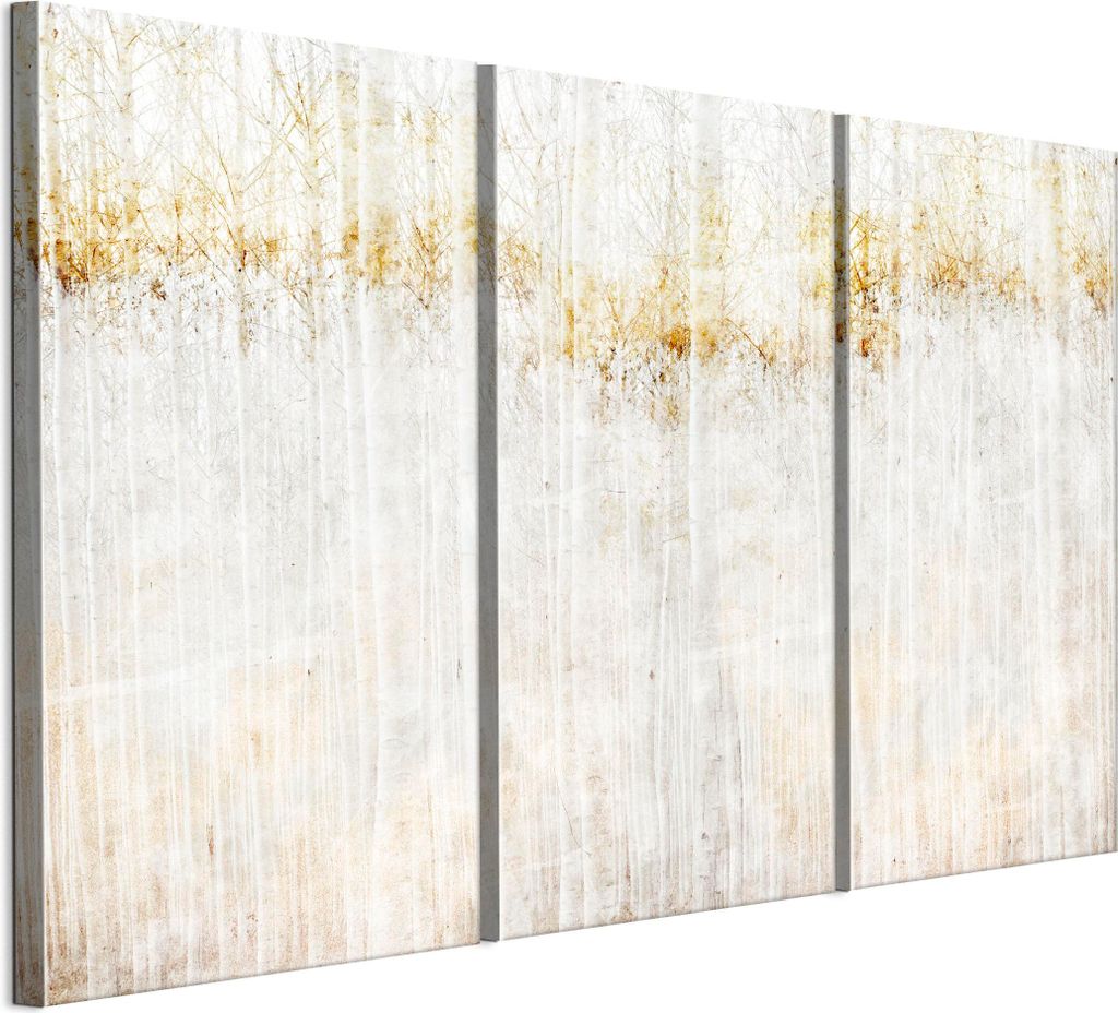 LUMASOUL Leinwand Bilder, Leinwandbild Natur Motiv, Wandbilder Holzrahmen, Bilder 120x80cm Wald 5