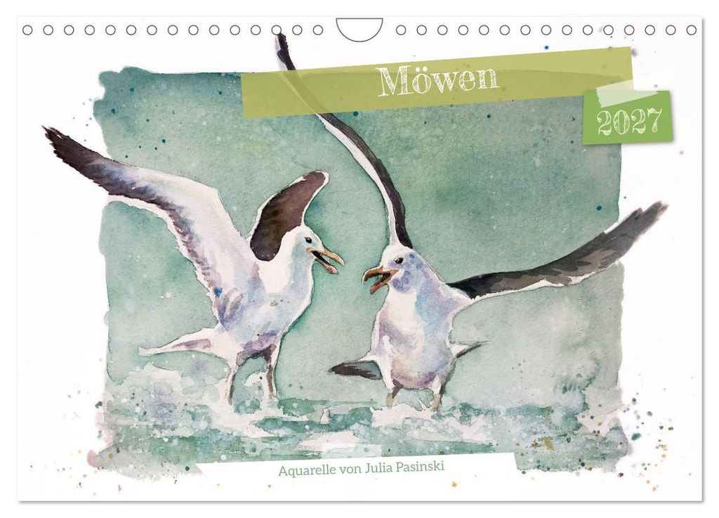 Möwen - Aquarelle von Julia Pasinski (Wandkalender 2027 DIN A4 quer), CALVENDO Monatskalender