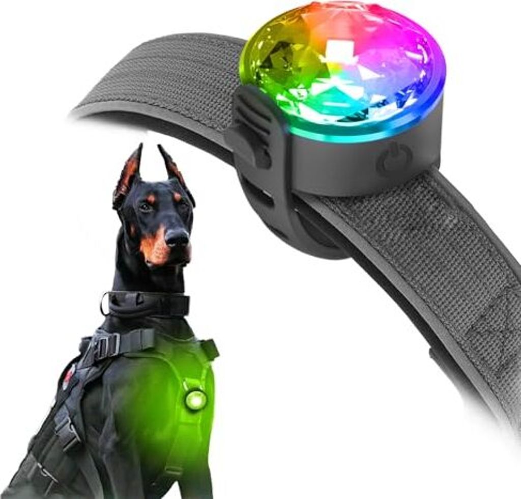 Haustierlicht: wasserdichtes Hund Licht, langlebige ideale Nachtwanderungen (Umione-White-01)