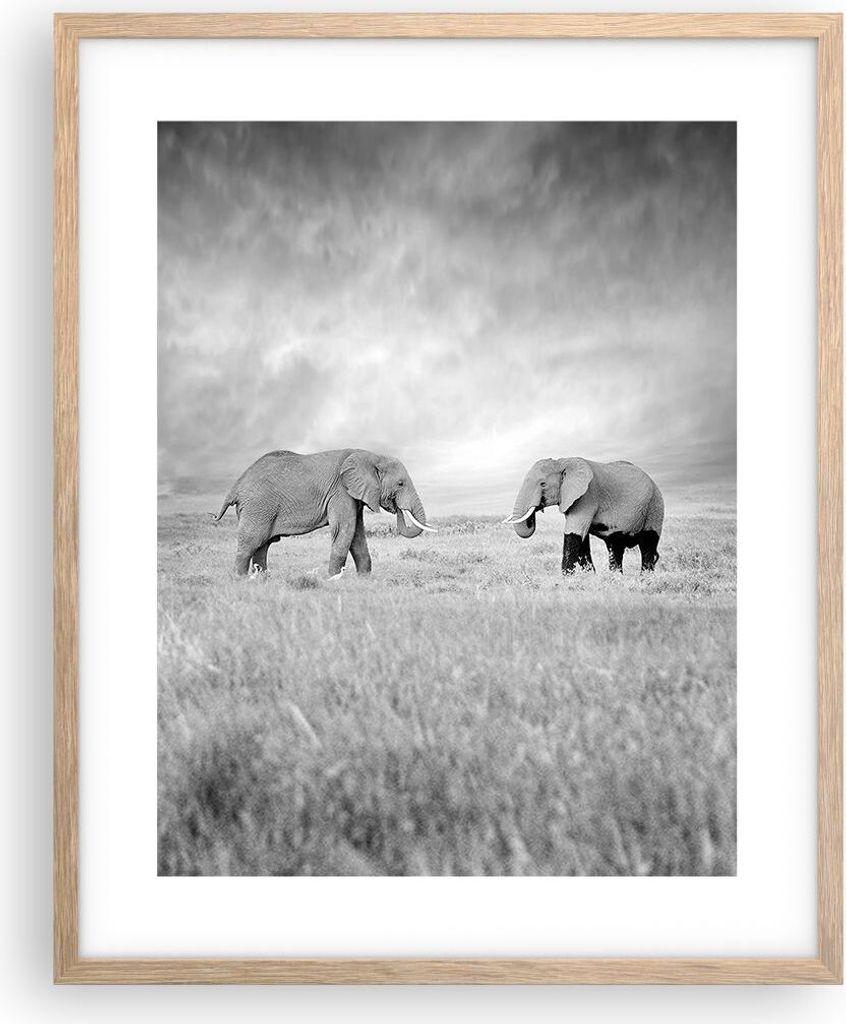 Gerahmtes Poster - Rahmen in heller Eiche - Elefanten Schwarzweiß Safari - 40x50 cm - Wand Bild - Wanddeko - Wandbilder - Wandposter - Bilderrahme...