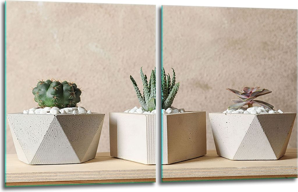 Herdabdeckplatten 2x40x52 Glaskeramikfeld 2-Teilig Glas Spritzschutz Kaktus