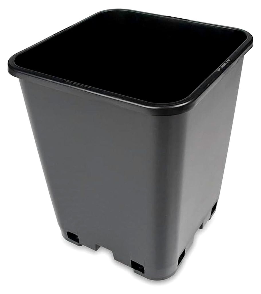 Schiller 10x 6L Topf viereckig 19x 19 x 23cm Pflanztopf Vierkant-Töpfe Blumenkübel Anzucht Blumentopf Pflanzgefäß
