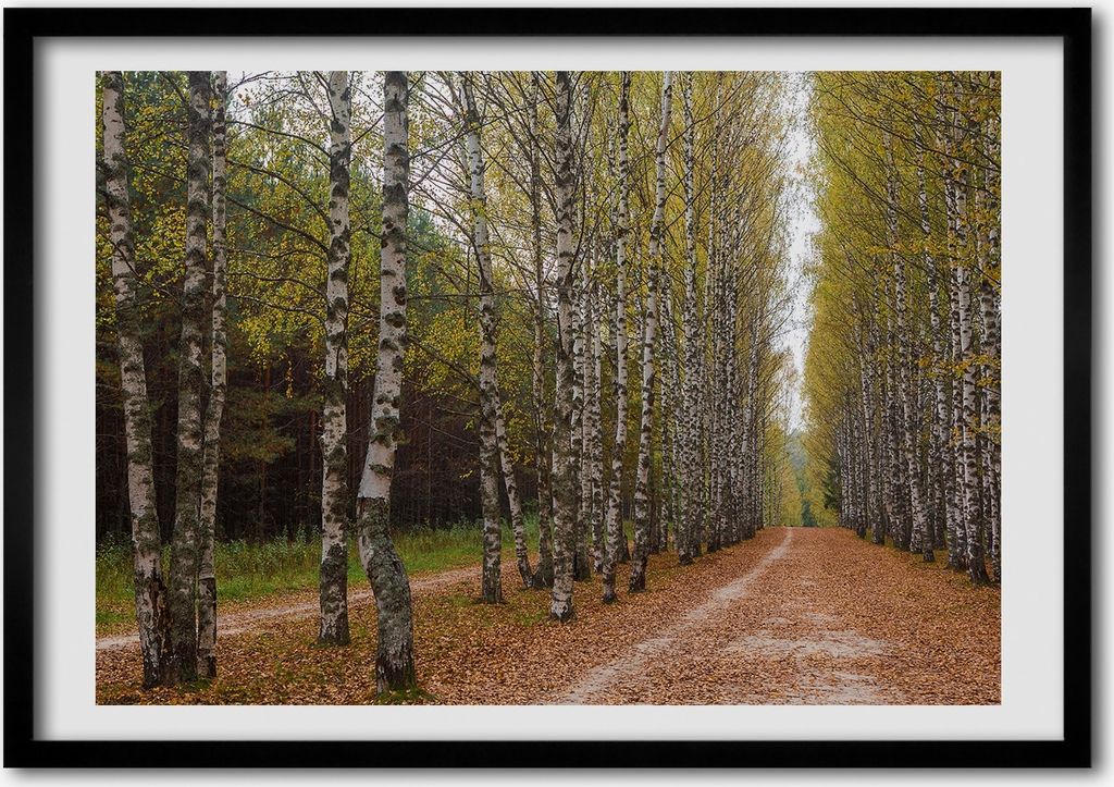 Bild - Bilderrahmen - 100 cm x 70 cm - MDF - Rahmen - Foto - Wandkunst Birke Gasse