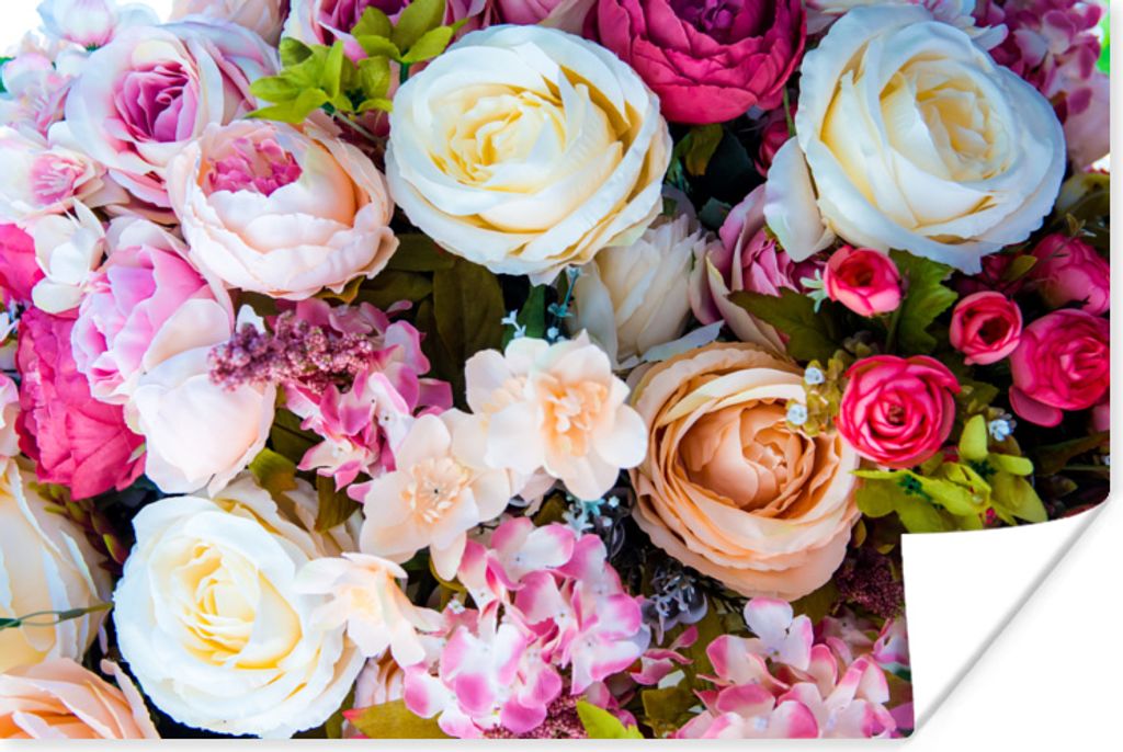 MuchoWow Poster Rosen - Weiß - Rosa 120x80 cm - Bilder